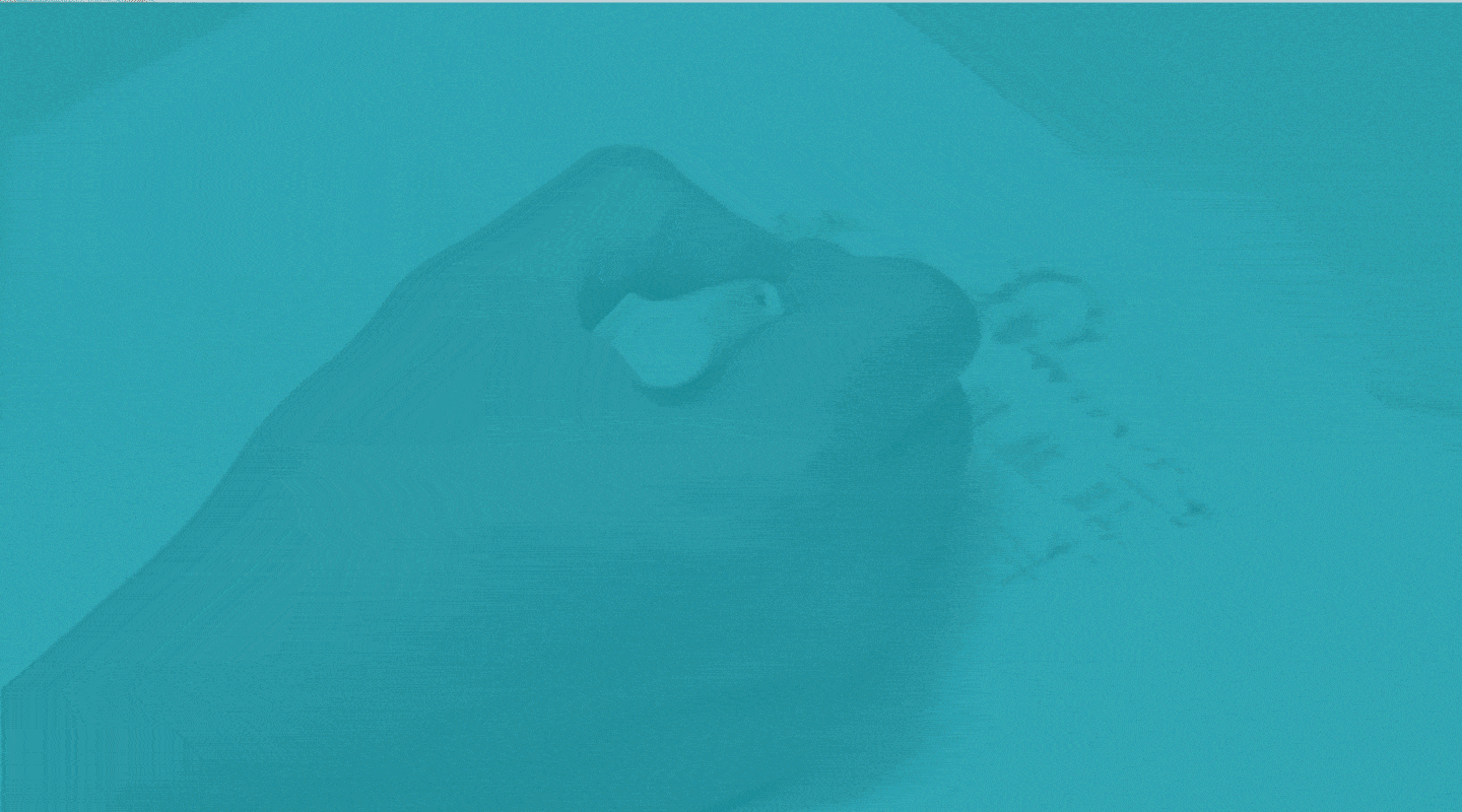 Best choice for all your architectural needs