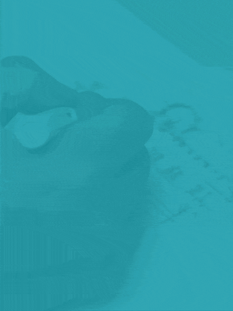 Delivering quality and soul to your building